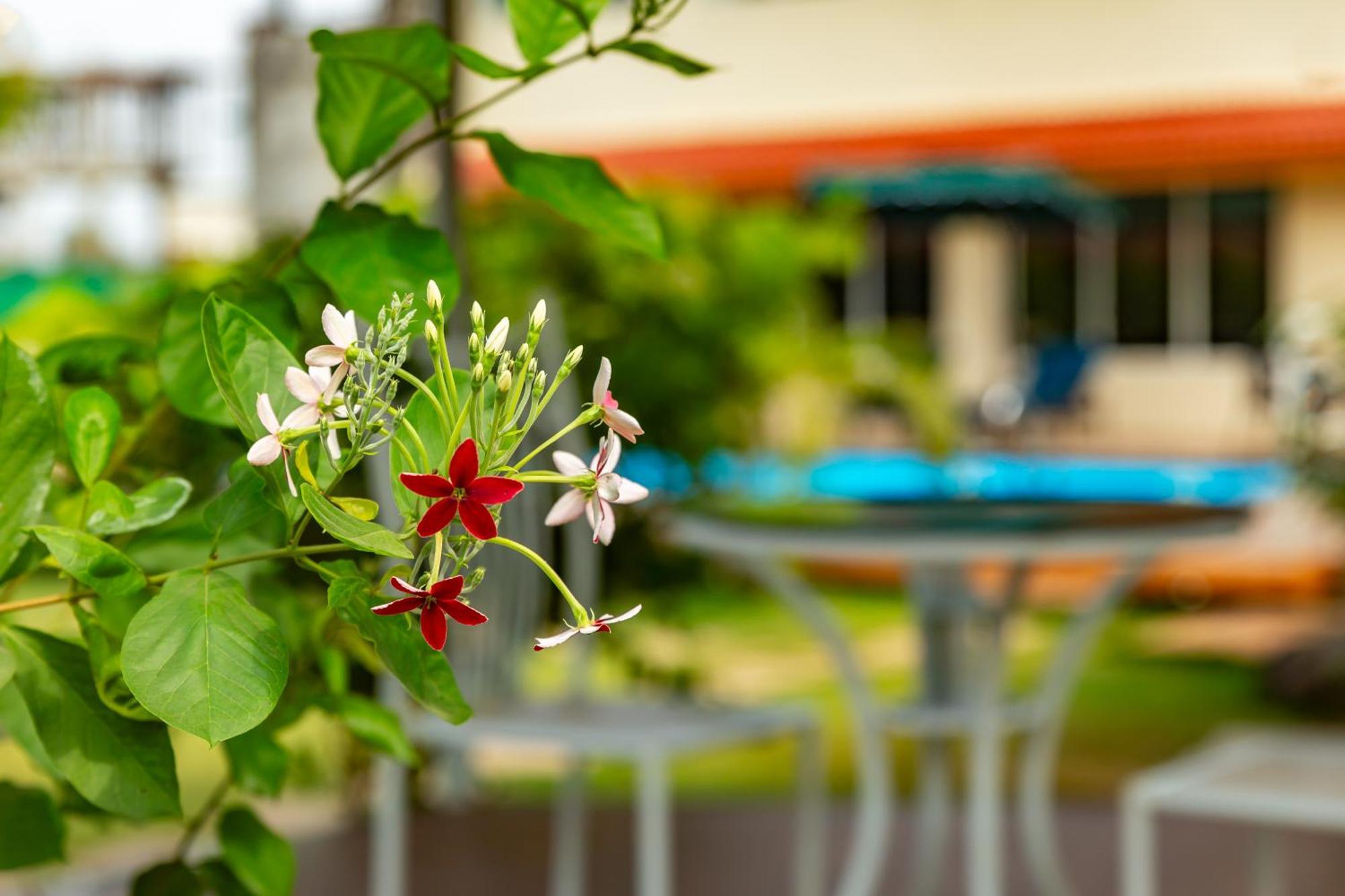 Casa Amora Lonavala Esterno foto